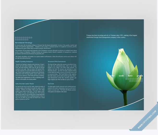 TVF - Brochure Design 